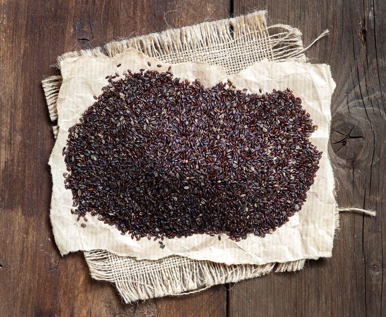 Atalık Tohum: Geleceğimizi Korumak İçin Geçmişten Gelen Miras