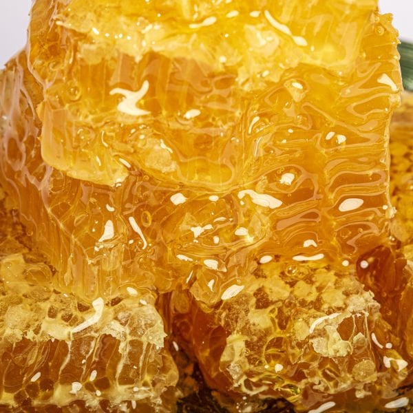 Avantajlı Organik Bal Seti - Doğal Yaşam’ın Altın Seti